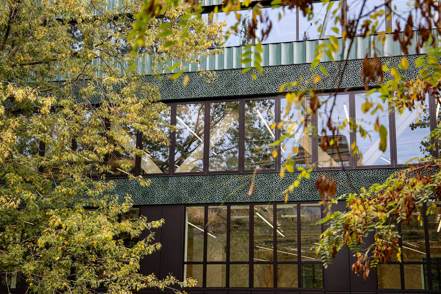 Modern building with glass facade partially obscured by trees